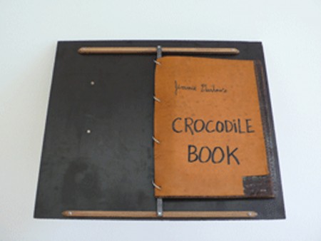 The crocodile book 2012